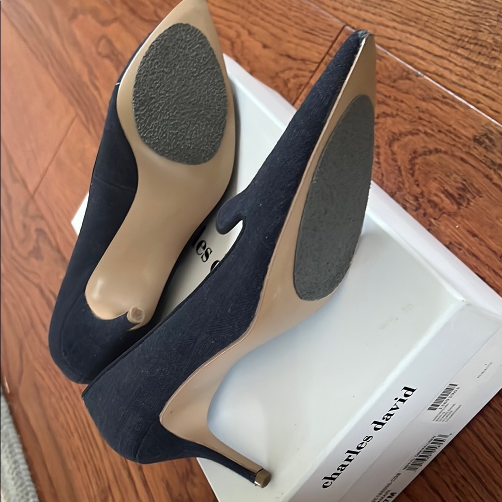 Charles David Amari Blue Pointed-Toe Heels - Picture 5 of 10
